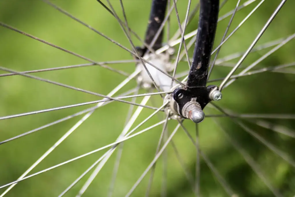 Freewheel Vs Freehub: What You Should Know