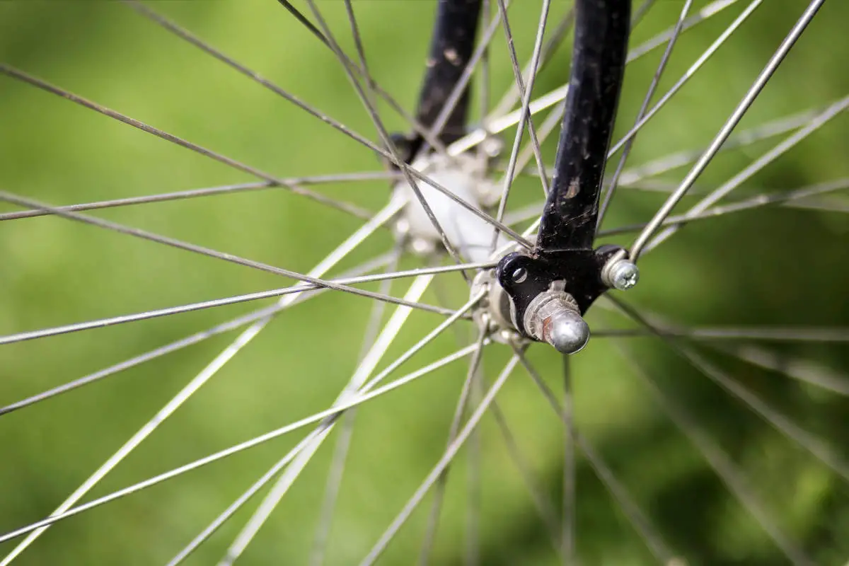 Freewheel Vs Freehub: What You Should Know