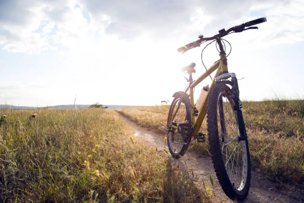 How Much Does A Mountain Bike Cost? This Is The Truth!