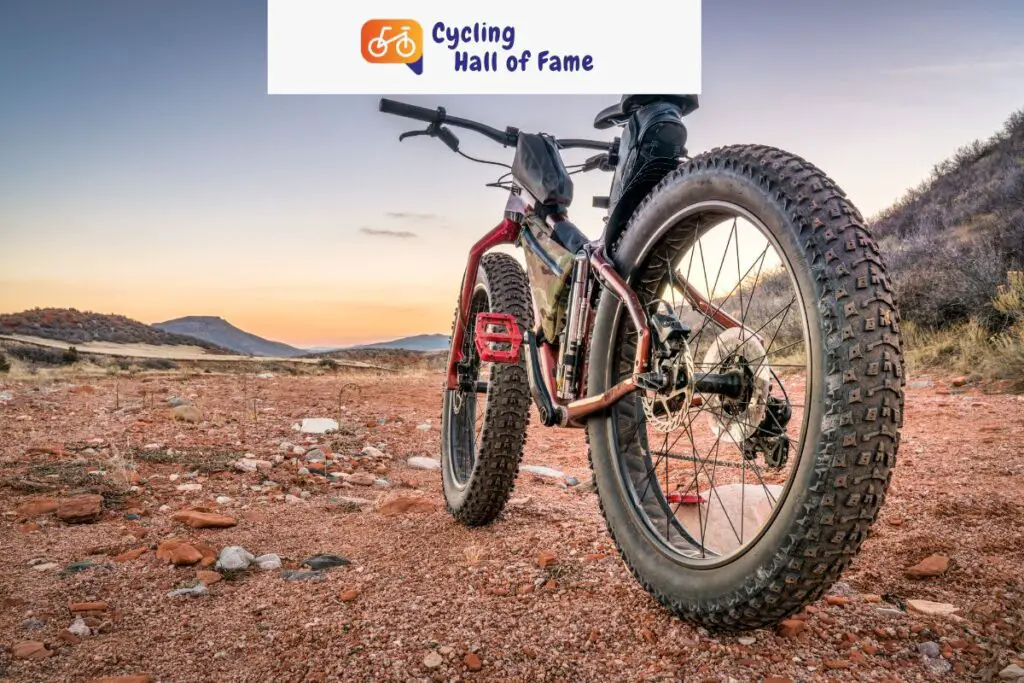 Fat Bike vs. Mountain Bike: Which One is Right for You?