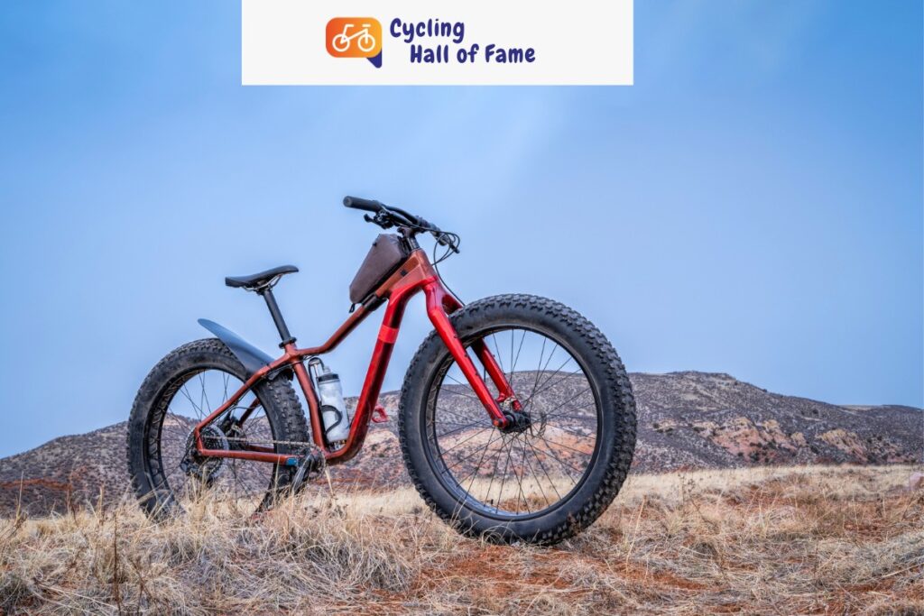 What is a Fat Bike? The Detailed Explanation