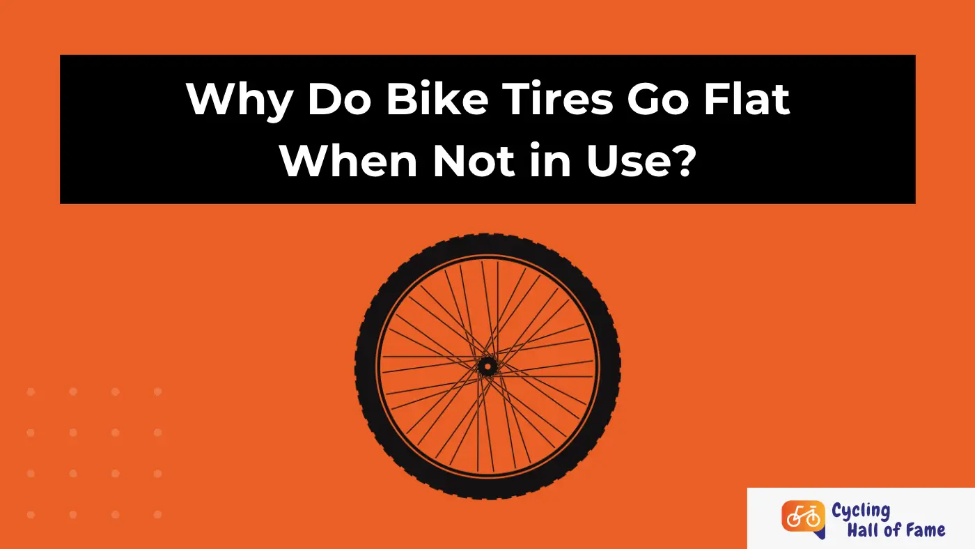 Why Do Bike Tires Go Flat When Not in Use?